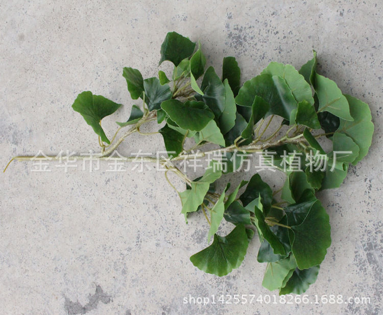 XRB-157银杏叶三叉枝15叶2