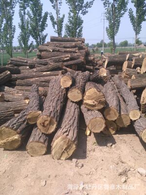 槐木原木板材木方洋槐树国槐地板料马扎料坑木棺材拦海柱顶杆