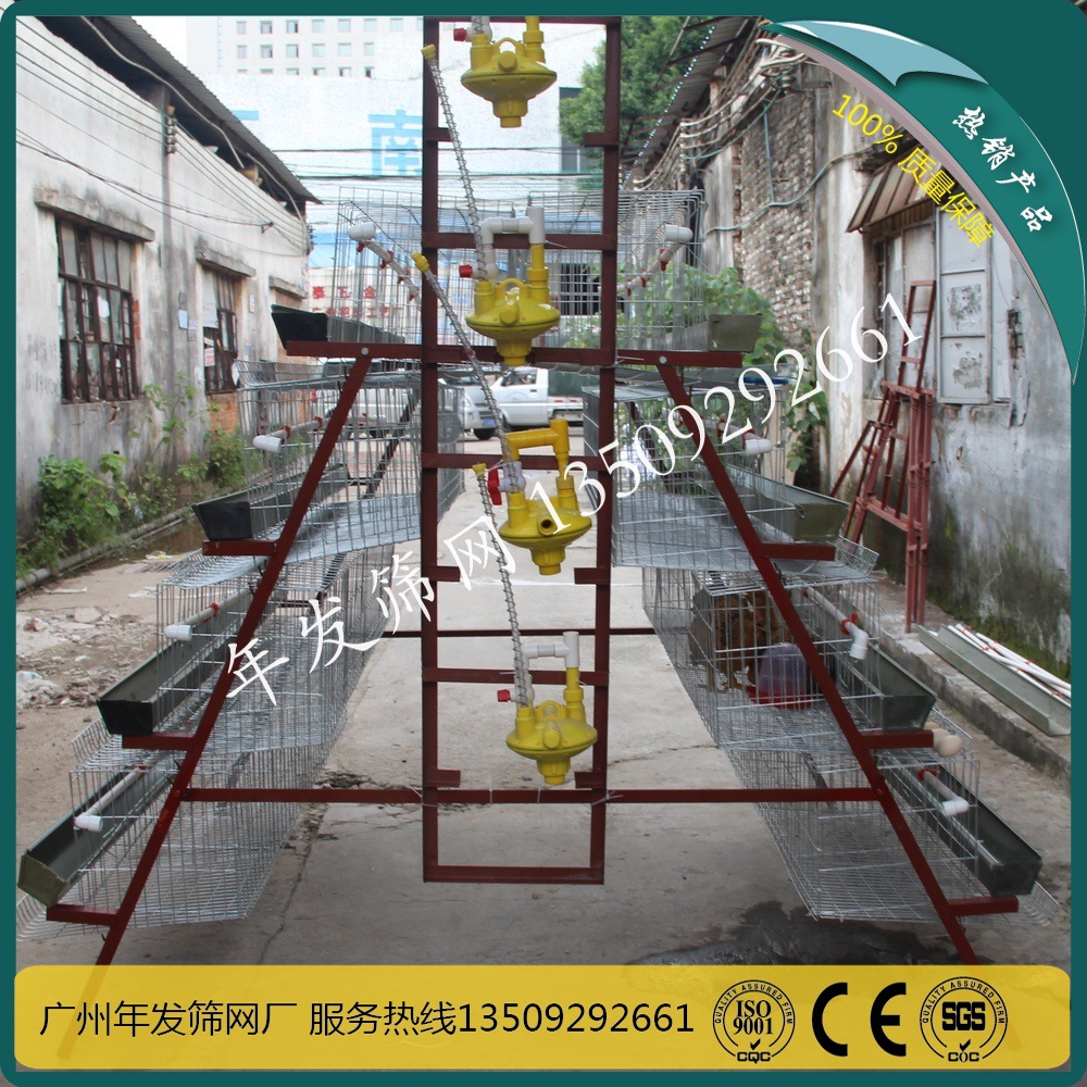 供应层叠式设计金属鸡笼子 全套自动化养鸡设备 彩镀四层蛋鸡笼