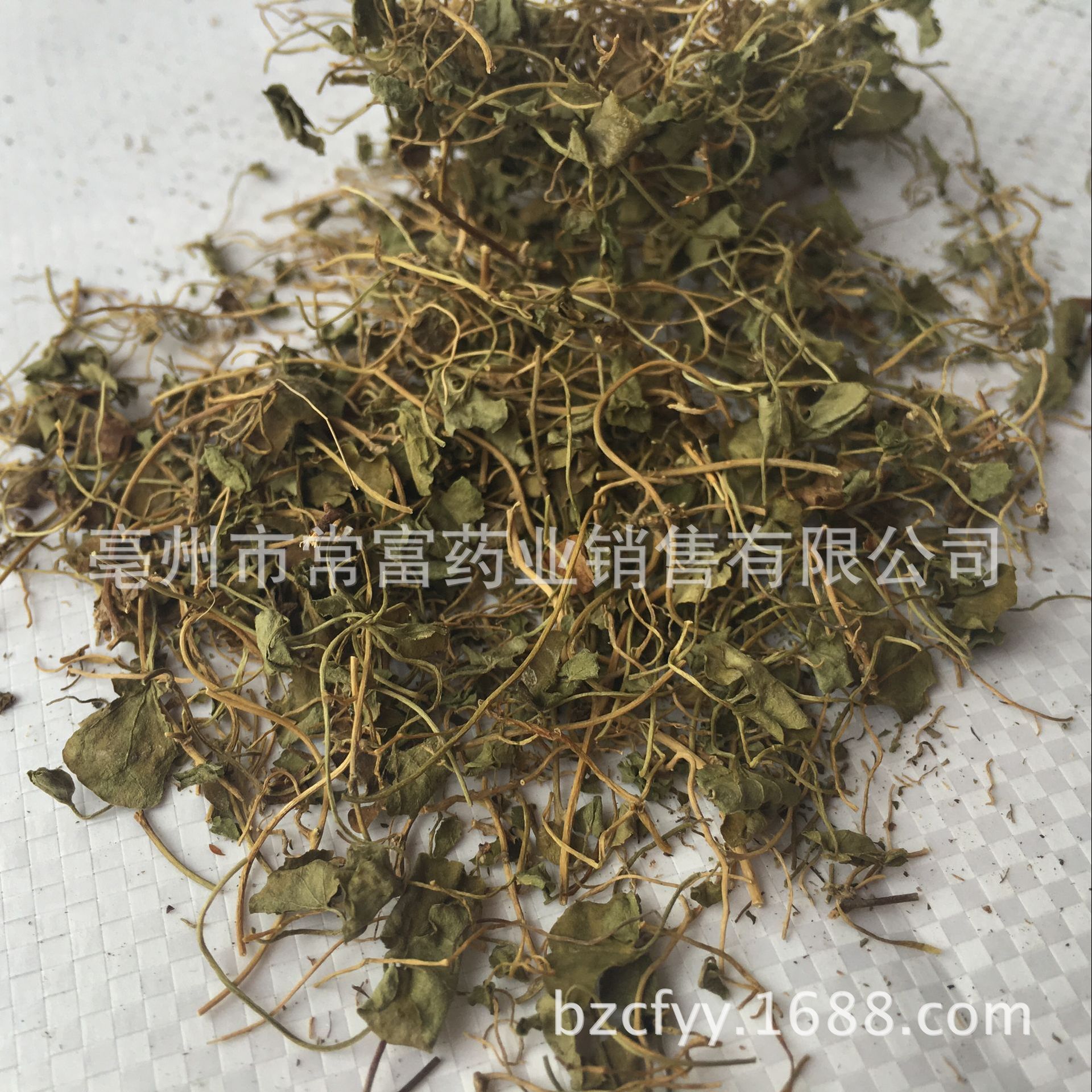 Dried Dichondra Herb Ma Ti Jin 500g Traditional Chinese Herbal Tea Ingredient overview