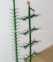 ����������I�������N���ӵİ��z���