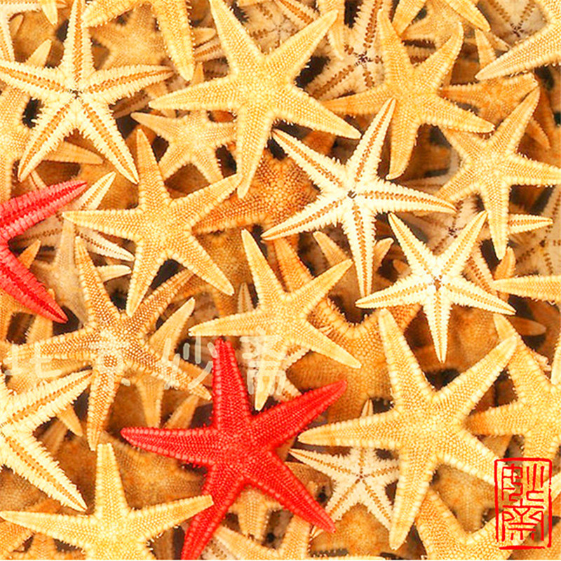 T2sQ04XqJbXXXXXXXX_!!616142611