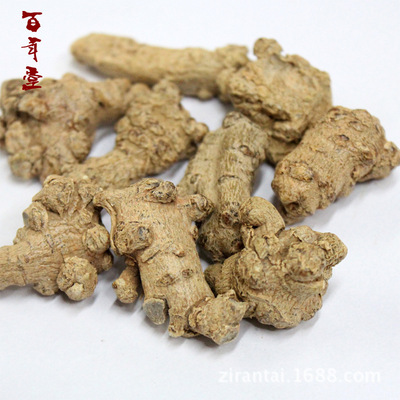 【菊三七】：土三七,金不换,紫三七一手货源大货供应|ms