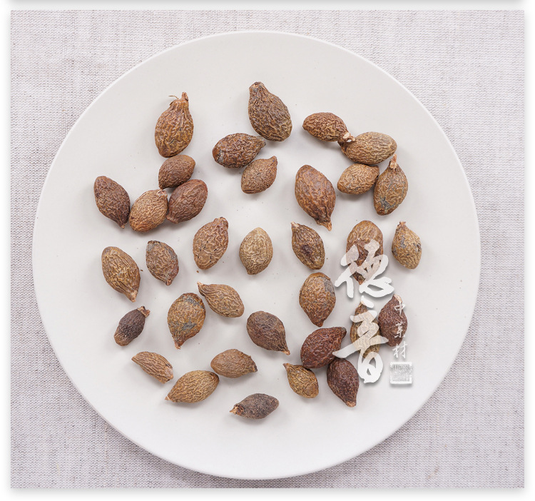Pang Da Hai Long-Form Fat Sea Seed Loose Herbal Tea 500g for Soaking and Culinary Use quality and texture