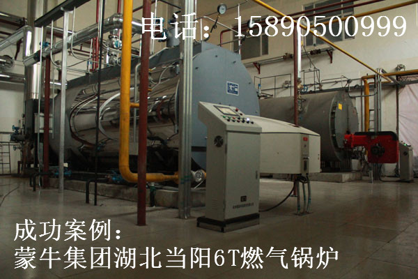 蒙牛集團(tuán)湖北當(dāng)陽6T燃?xì)忮仩t