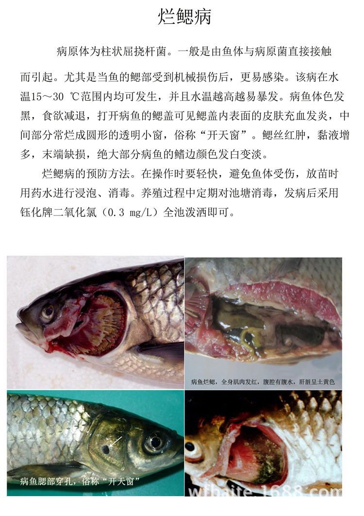 15kg钰化牌二氧化氯水产养殖消毒剂净水片渔药白色片剂广谱除藻y 阿里巴巴