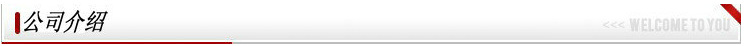 公司介绍