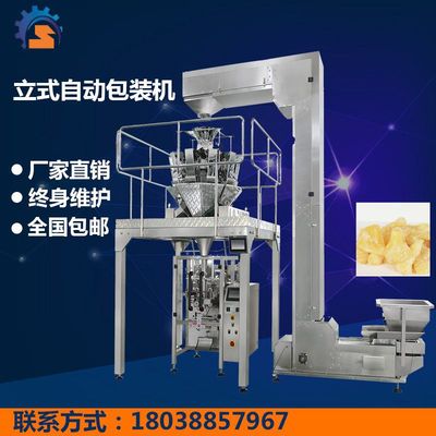 多功能包装机-凤梨干包装机 不锈钢大袋包装机