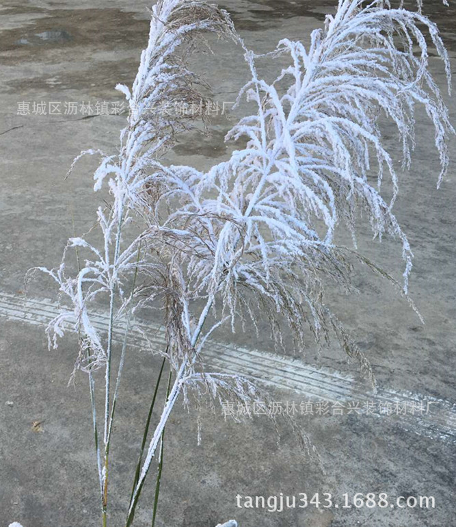3391雪白雪绒粉 圣诞干枝枯枝雪效果装饰雪粉植绒