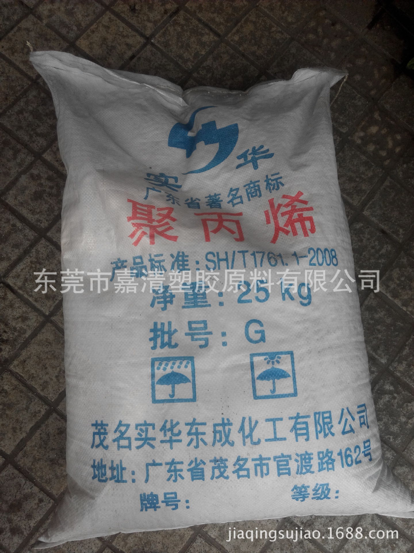 PP ï��ʵ�� 003��  0.6����֬