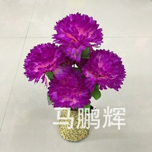 ���滨�������Ȱѻ�6�^���