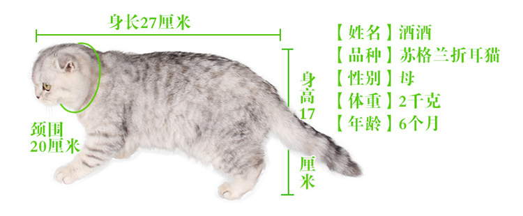 A100万能宠物垫详情图_32