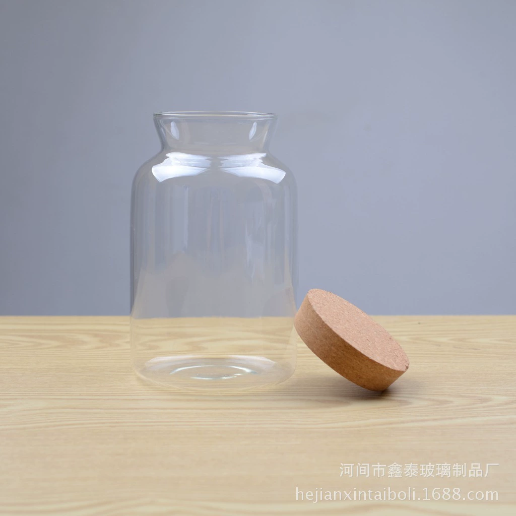 Экологическая бутылка Микро Пейзаж Ландшафтный дизайн аквариума Dou Fish Tank Офис Рабочий стол Гостиная Стеклянный аквариум Экологический шар Микро-ландшафт
