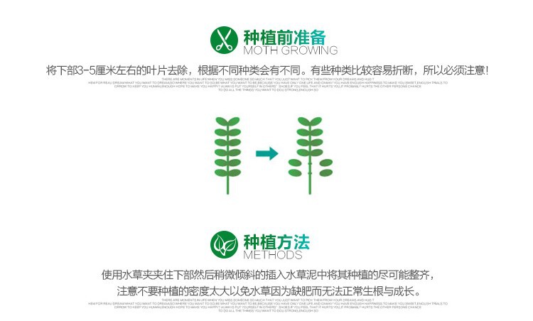 回到页面顶端 越南百叶描述5