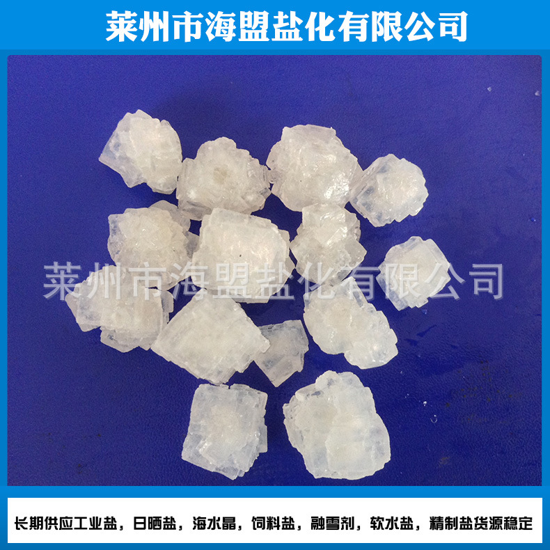 工业盐厂家大粗 纯度高晶体氯化钠 工业盐厂家批发