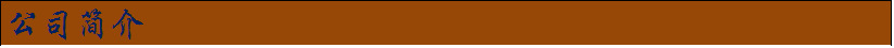 公司简介1