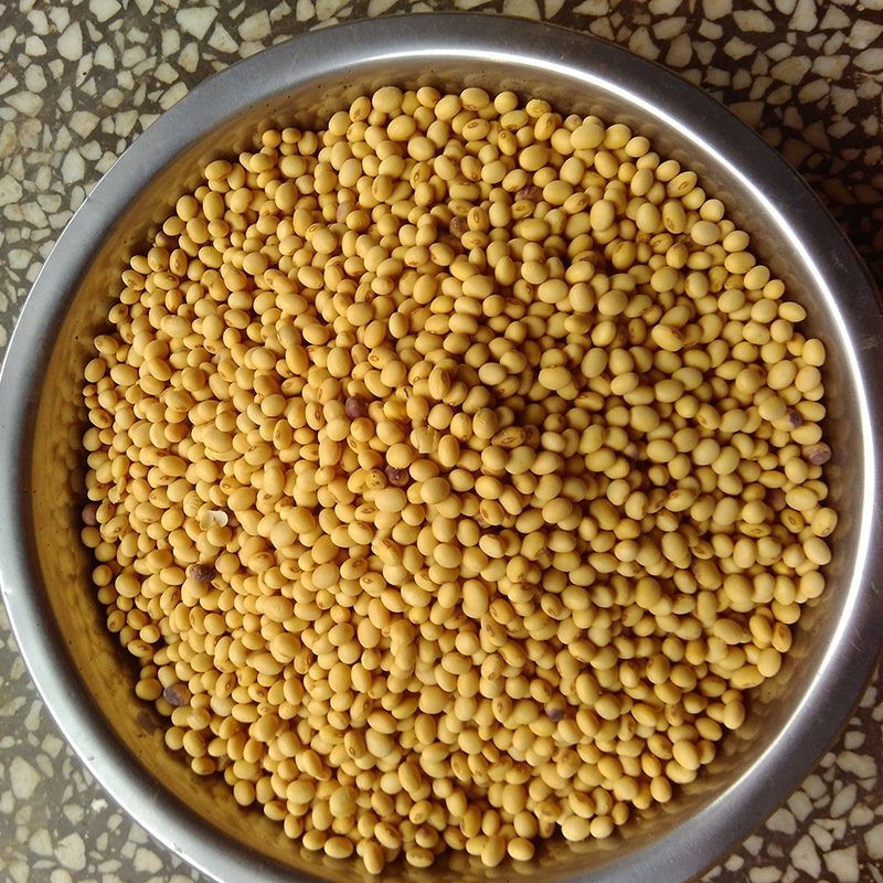 Hunan Soy Place of Origin Cheap wholesale Farm specialty Soy Whole grains bulk Soybean Soy