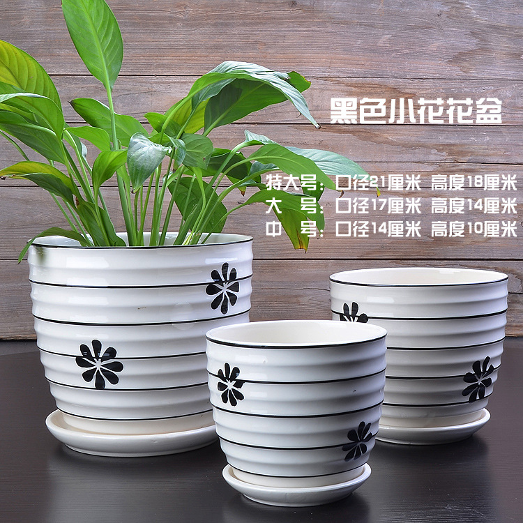 黑色小花