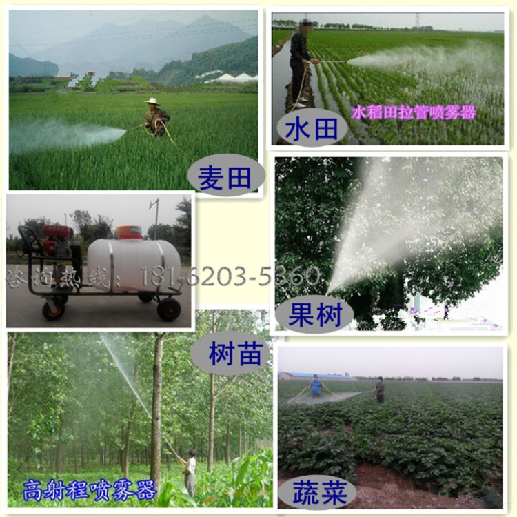 多喷头汽油打药机 新款打药机 汽油喷雾打药机