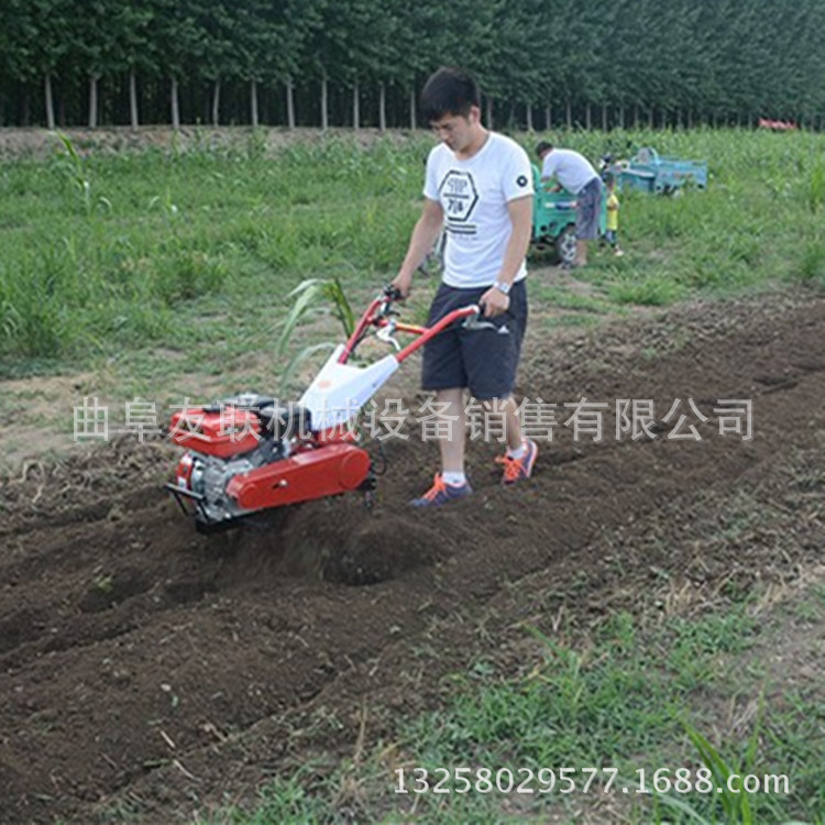 TB2wdu0nVXXXXXUXpXXXXXXXXXX_!!