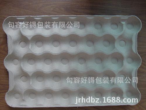 DSC01520