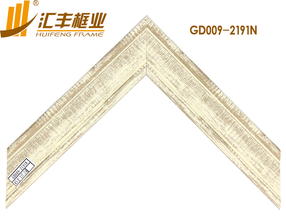 GD009-2191N正面 副本