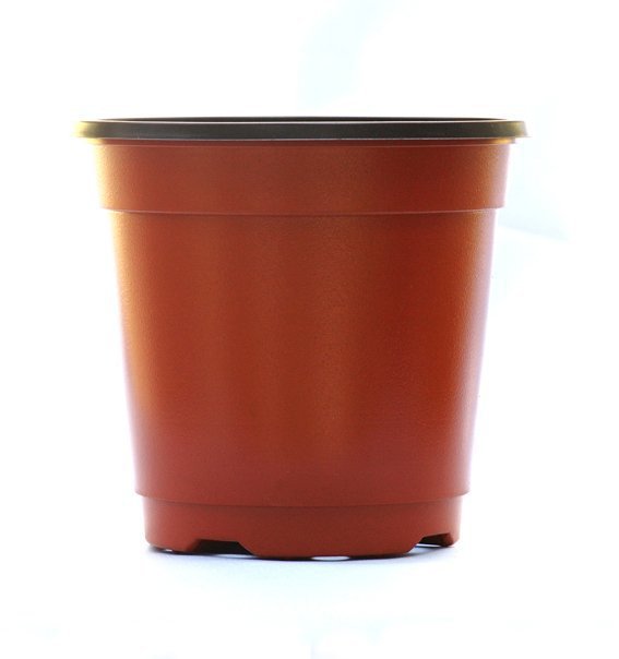 TB2.f3ScpXXXXcdXpXXXXXXXXXX_!!