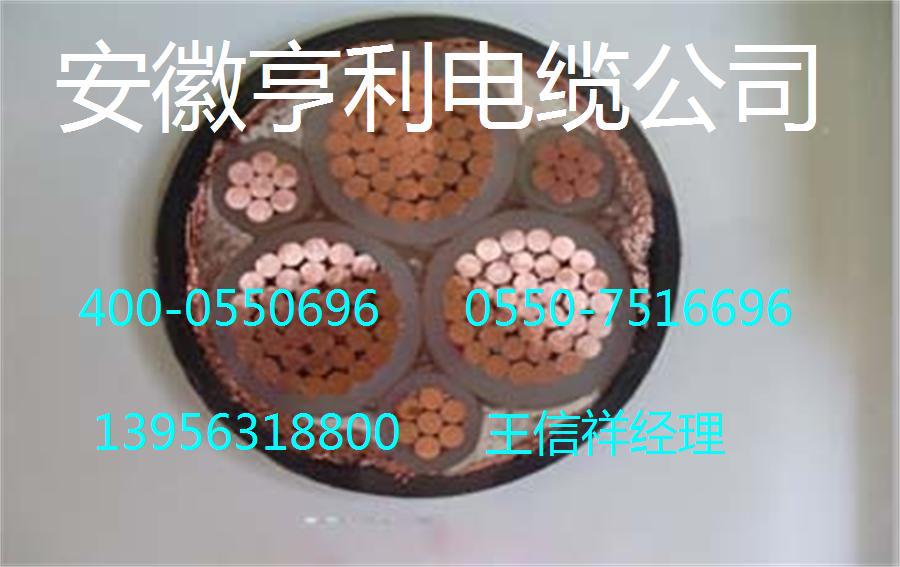 ZR BPTYJP2VP2 ZA BPTYJPLVPL 0 6 1KV 