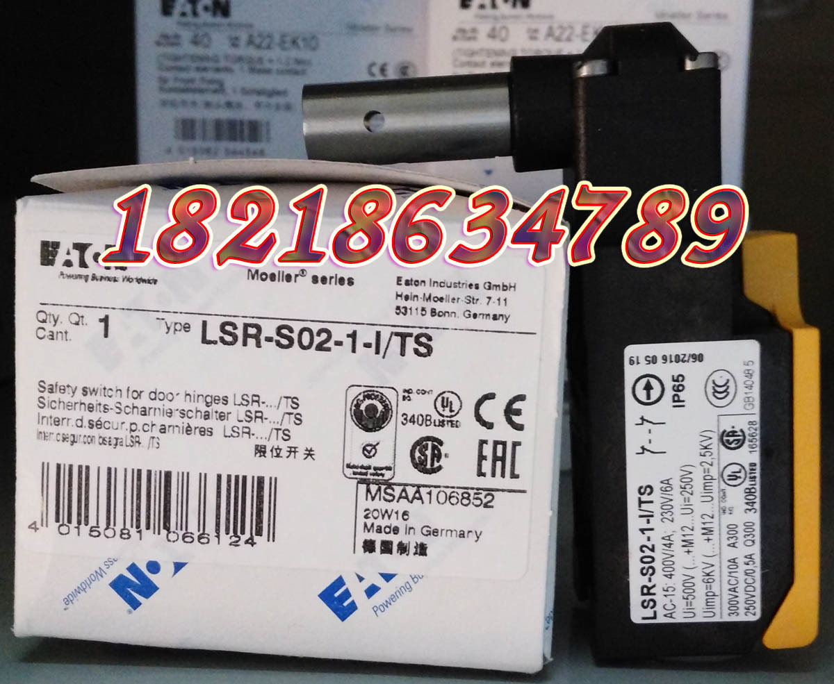 EATON  LSR-S02-1-I/TS 铰链安全限位开关