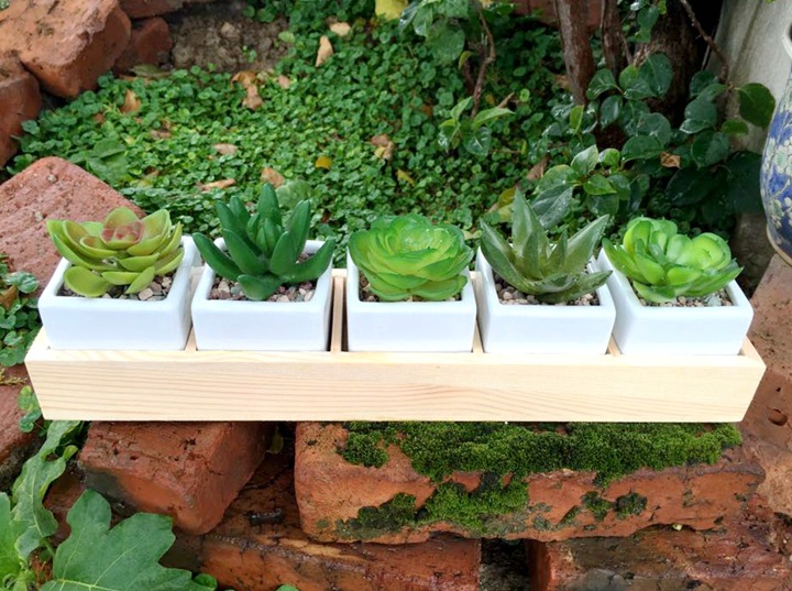 TB1OjAwIVXXXXbnXXXXXXXXXXXX_!!