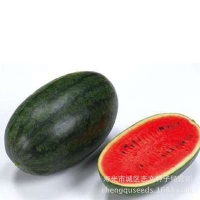 200粒包邮大果黑美人西瓜种子黑皮西瓜种子|ms