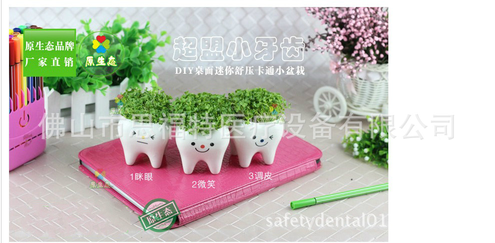 SOR-106 超萌小牙齒