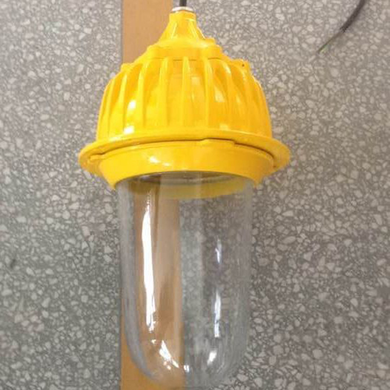 BFC8140内场防爆灯 固定式防爆灯 BAD-DIP 吸顶式 IRE