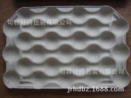 DSC01518