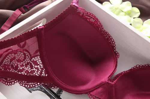 9118 European and American cross-border sexy lace foreign trade AliExpress hot selling women's underwear bra set wholesale direct sales