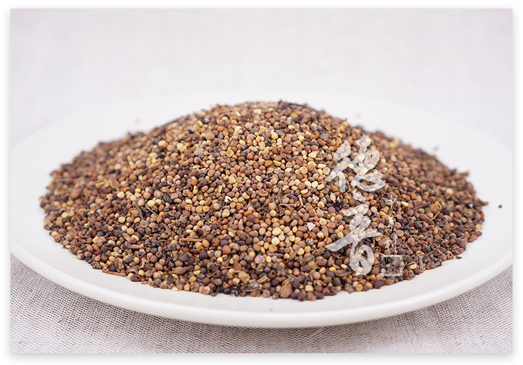Large Dodder Seed Tu Si Zi 500g Dried Sichuan Herb for Decoction and Tea quality and texture