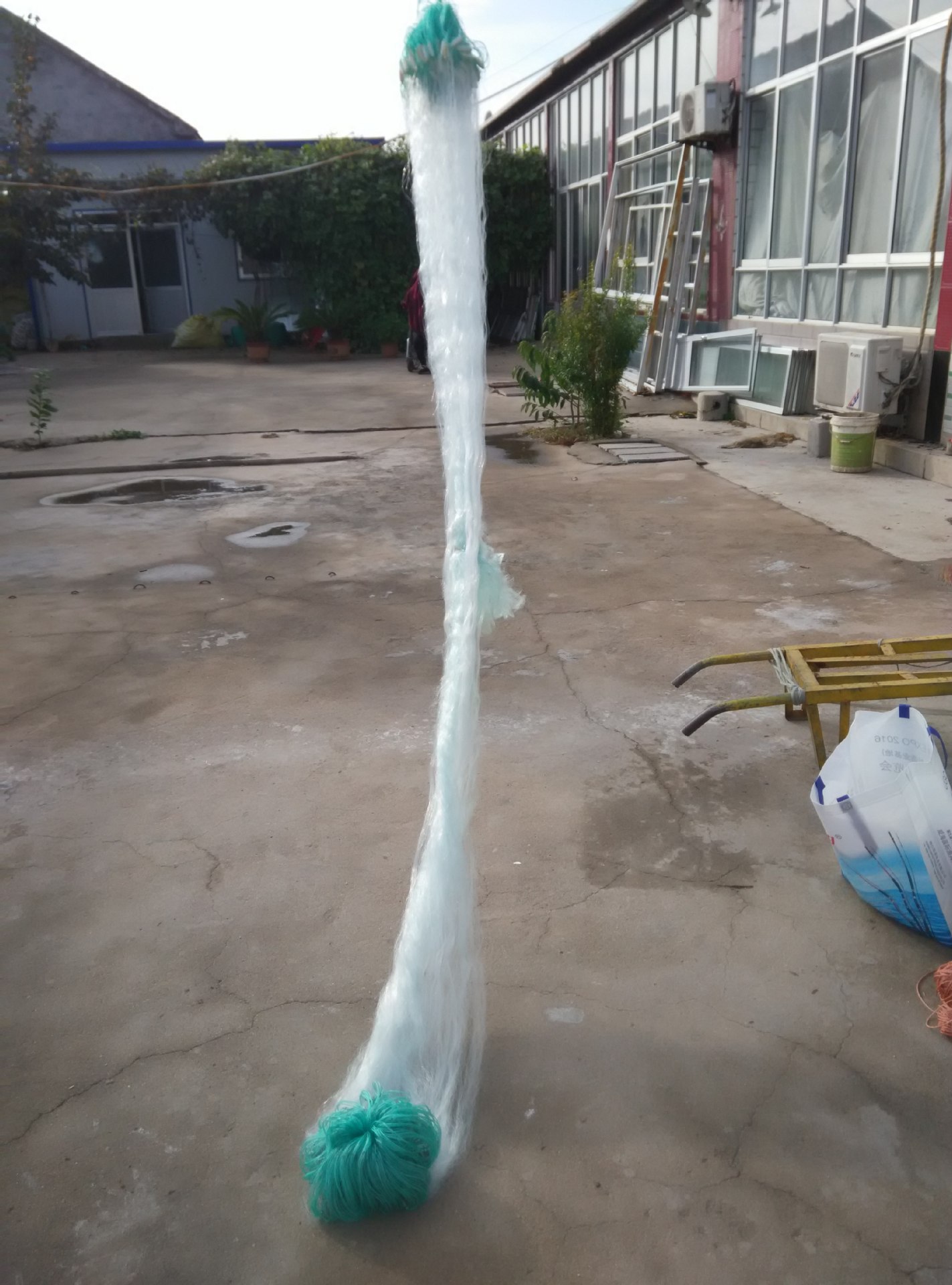 wangIMG_20161023_150808