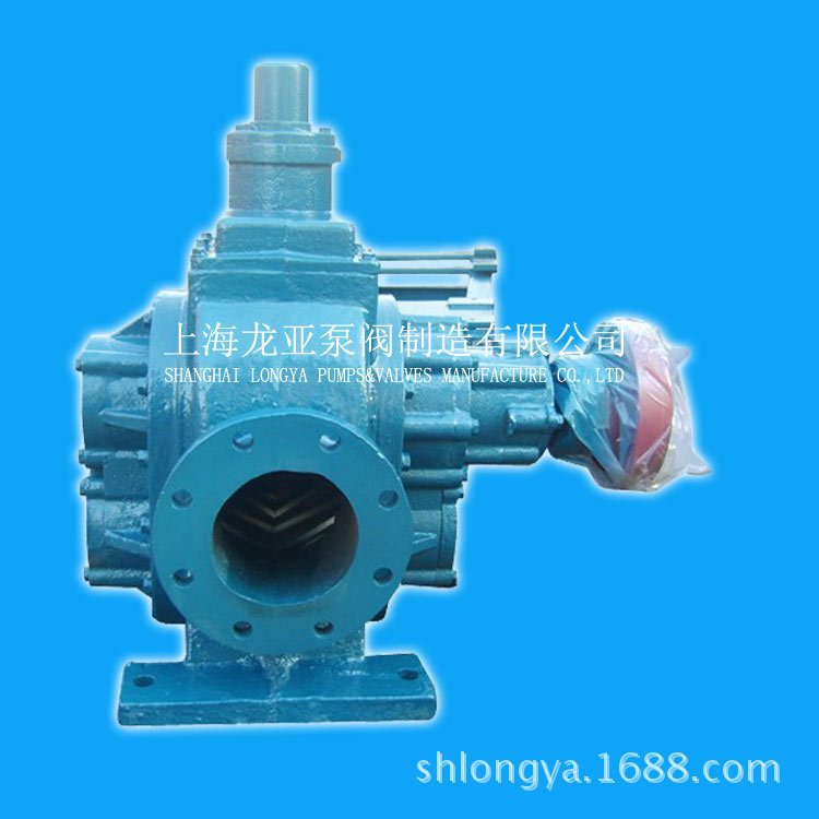 厂家供应2CY-29/0.36齿轮式燃油泵 SUS304变频供油齿轮泵