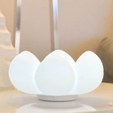 Симпатичная многоогласованная ночная лампа для хранения цветов творческая съемка