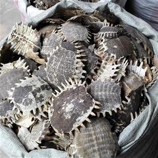 �M����ș�� ���� ���� �M�� ���| 15���ԃȟo�l���˓Q