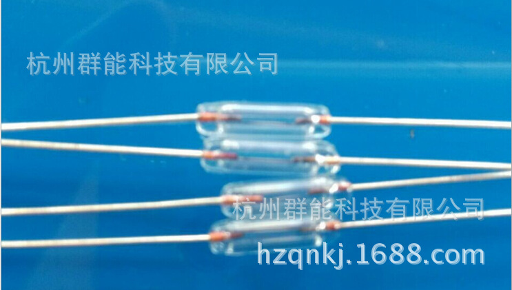 全玻璃（3*10）保险丝5A