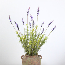 ����� ޹�²� 10��޹�²ݻ�c�b���@�[����b�