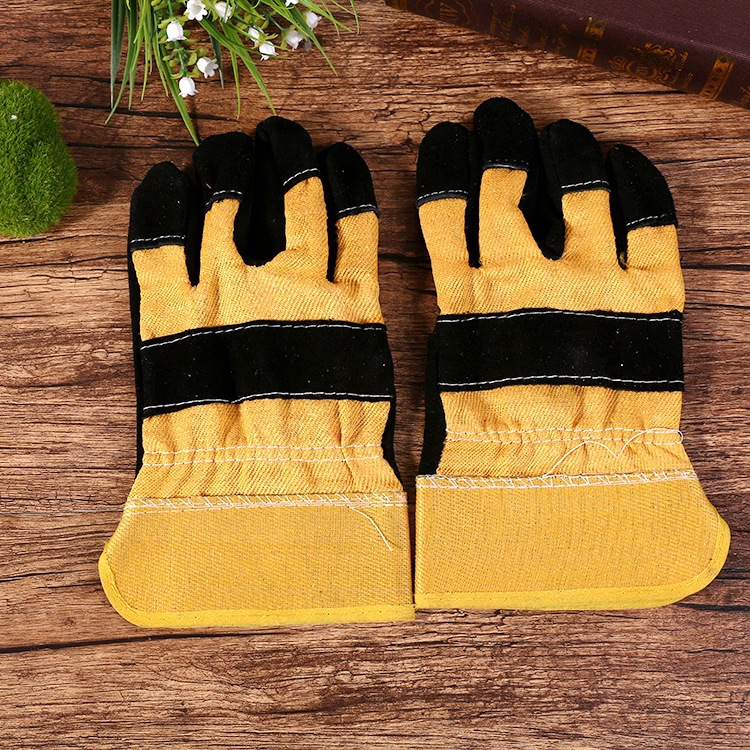 3705207170_707013135