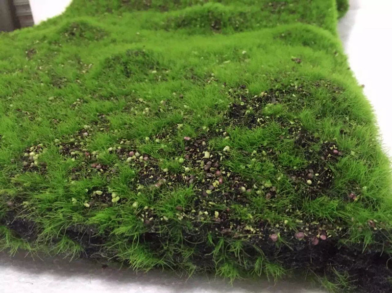 QQ图片20160708144545_副本