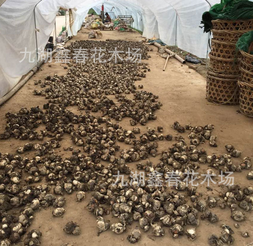 QQ图片20150606171407