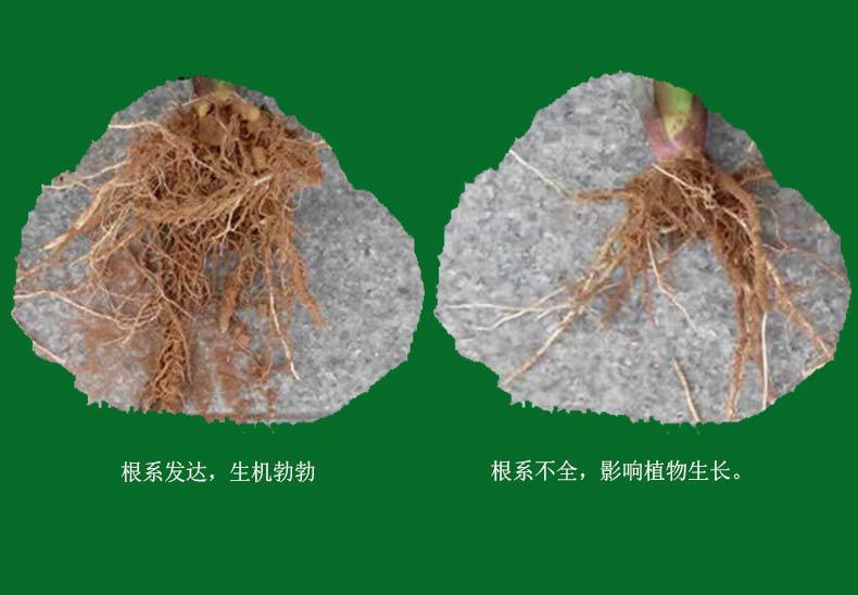 详情1_10