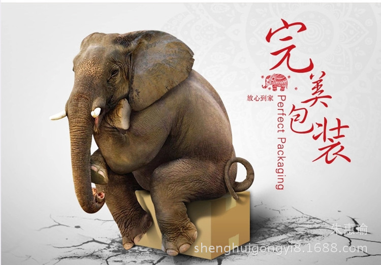 TB28UhxepXXXXasXXXXXXXXXXXX-19