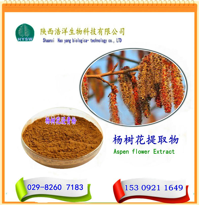 楊樹花提取物 圖片