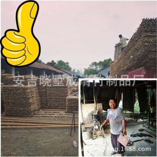 ���F؛ֱ�N���ṩ���NҎ�����Ƭ ������ ���|�Թ���ĥ�_��Ƭ