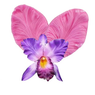 �¿��~�ӊAģ���ǵ�����zģ Һ�B���z DIY�決���� �S��ֱ�N